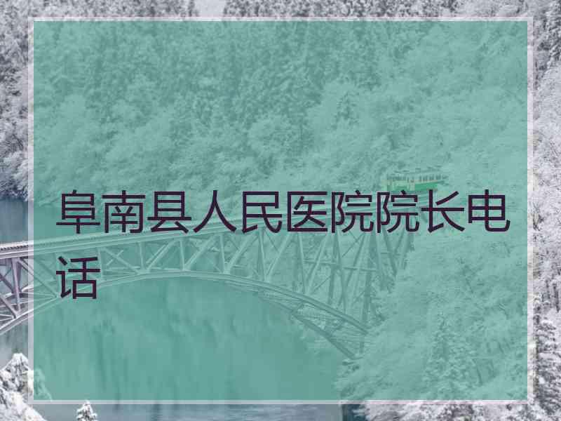 阜南县人民医院院长电话