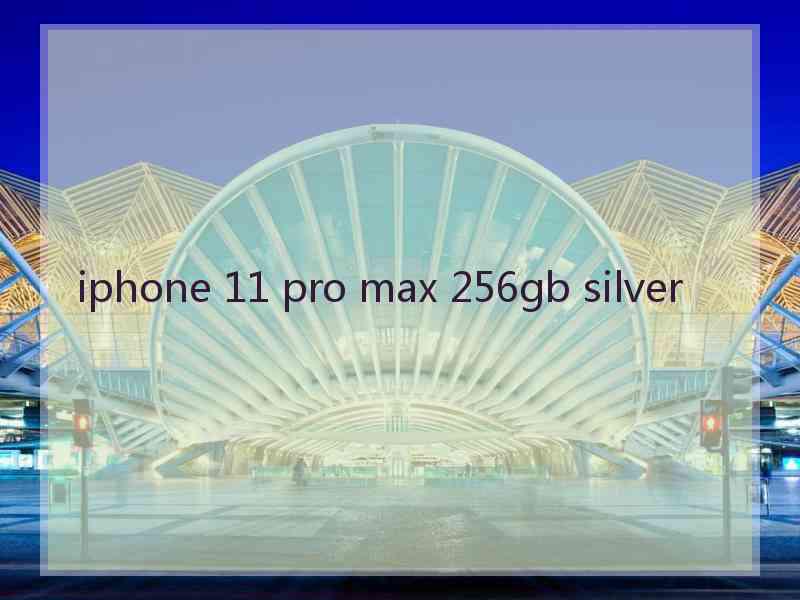 iphone 11 pro max 256gb silver