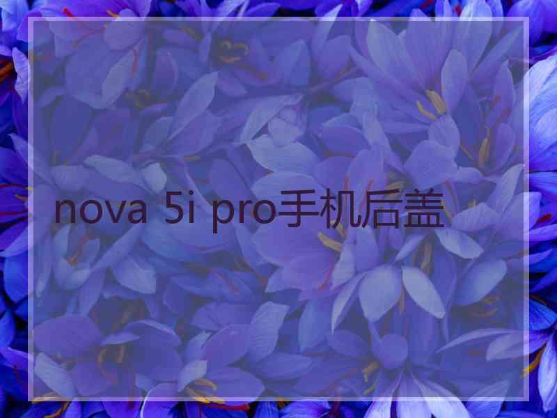 nova 5i pro手机后盖