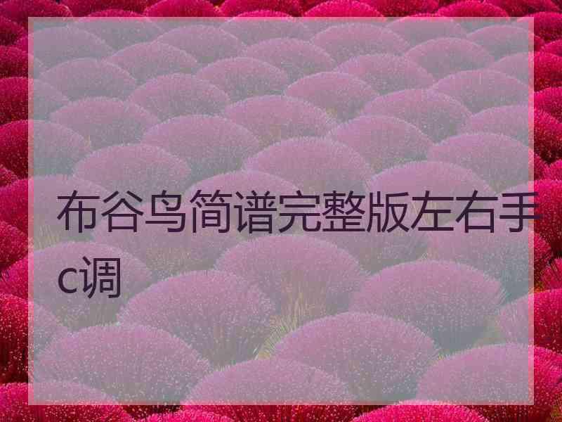 布谷鸟简谱完整版左右手c调