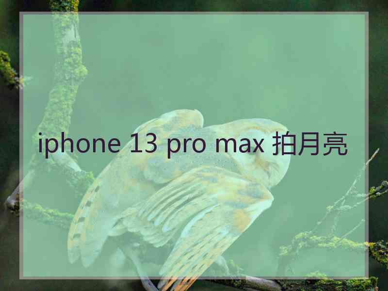 iphone 13 pro max 拍月亮