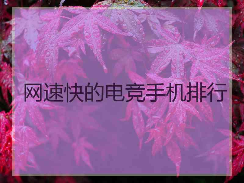 网速快的电竞手机排行