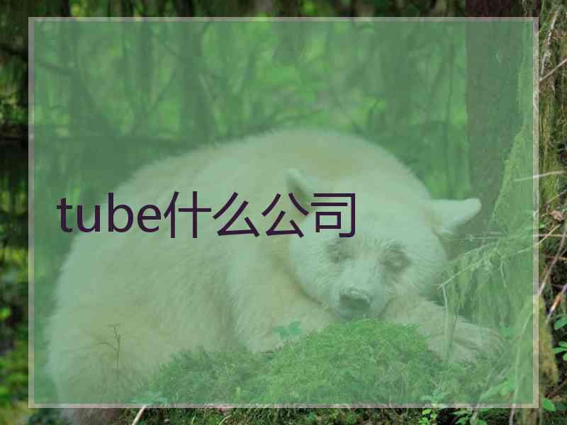 tube什么公司