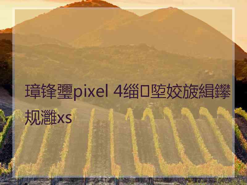 璋锋瓕pixel 4缁埅姣旇緝鑻规灉xs