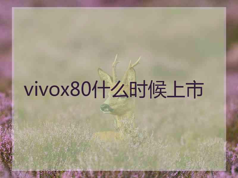 vivox80什么时候上市