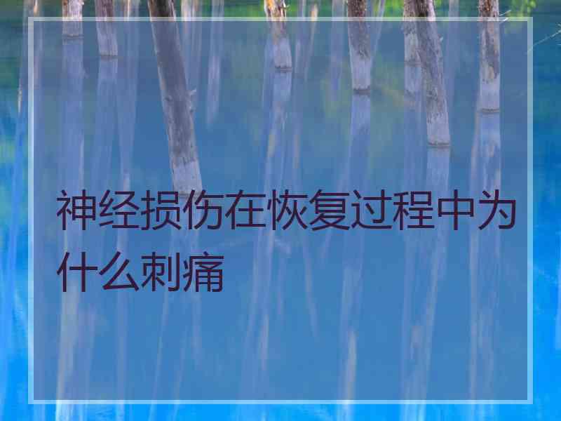 神经损伤在恢复过程中为什么刺痛