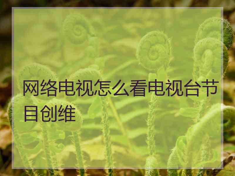 网络电视怎么看电视台节目创维