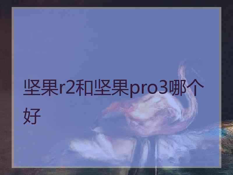 坚果r2和坚果pro3哪个好