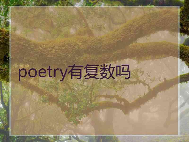 poetry有复数吗