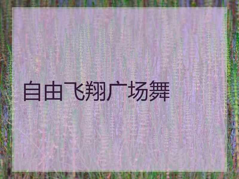 自由飞翔广场舞