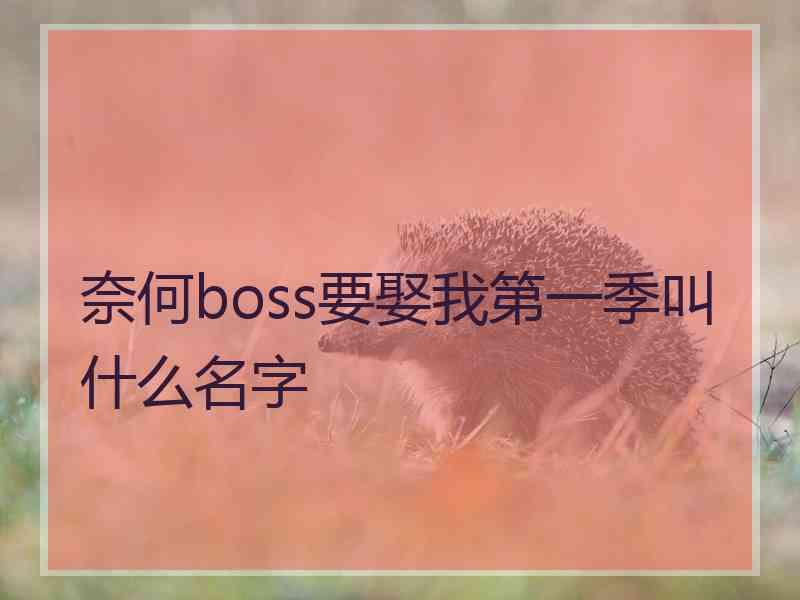 奈何boss要娶我第一季叫什么名字