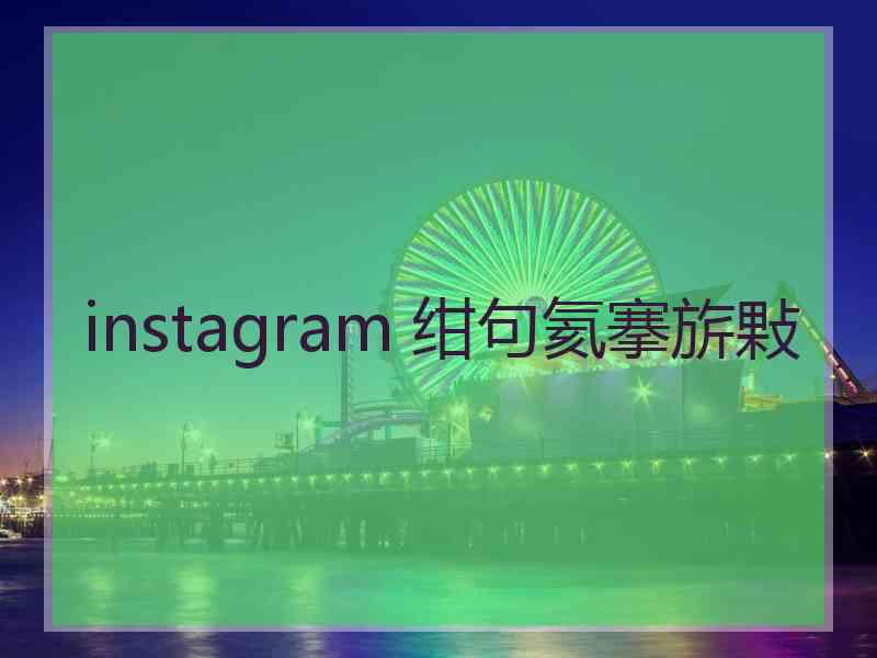 instagram 绀句氦搴旂敤