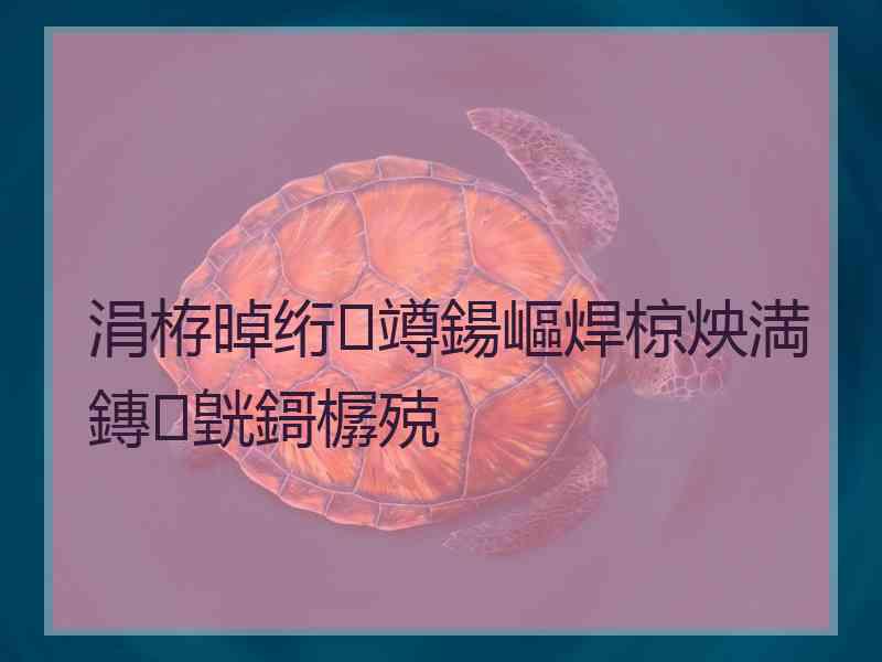 涓栫晫绗竴鍚嶇焊椋炴満鏄皝鎶樼殑