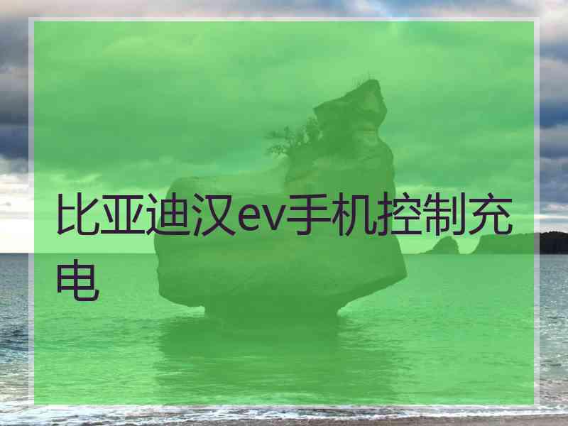 比亚迪汉ev手机控制充电