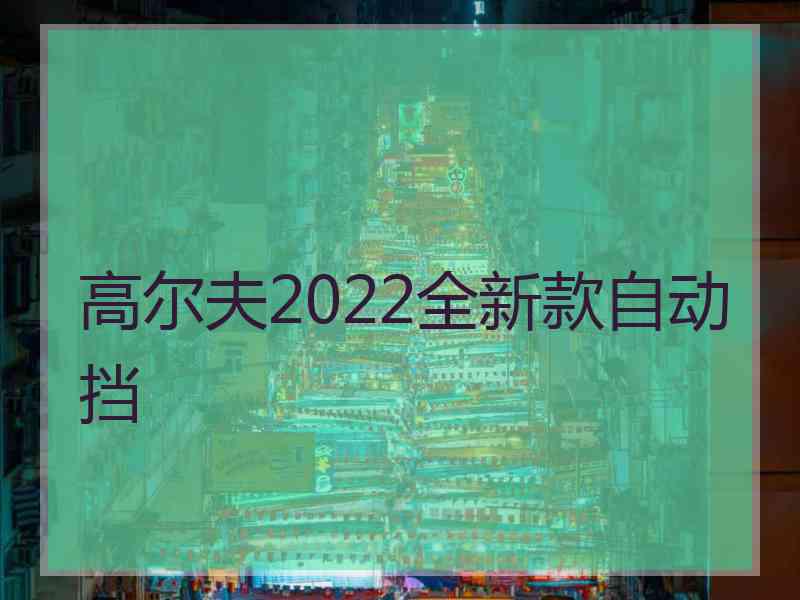 高尔夫2022全新款自动挡