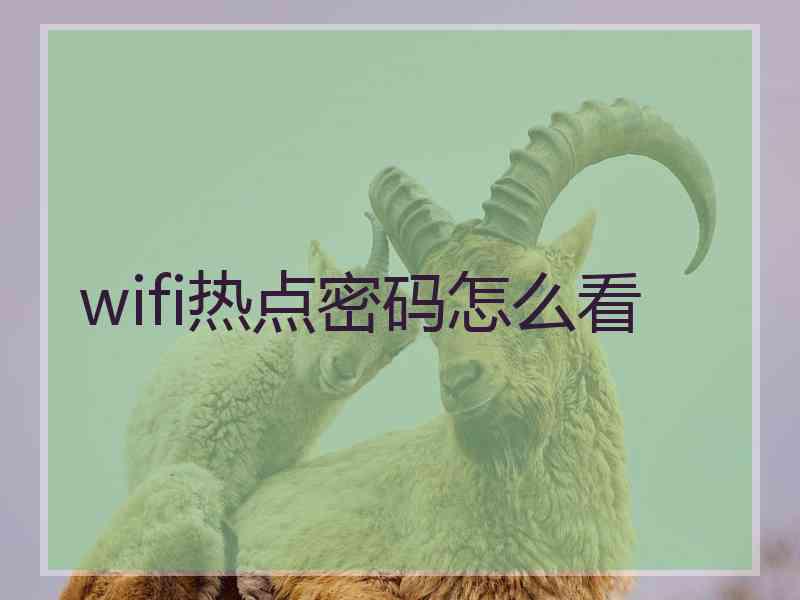 wifi热点密码怎么看