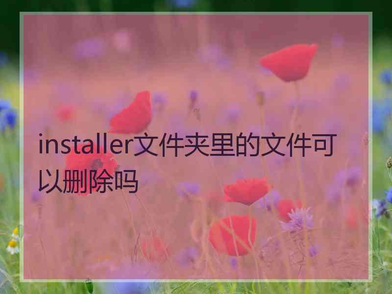 installer文件夹里的文件可以删除吗