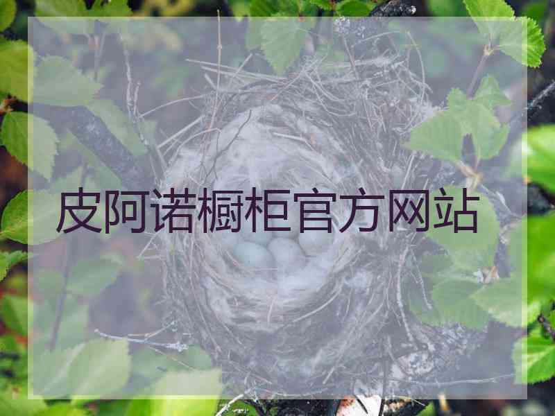 皮阿诺橱柜官方网站