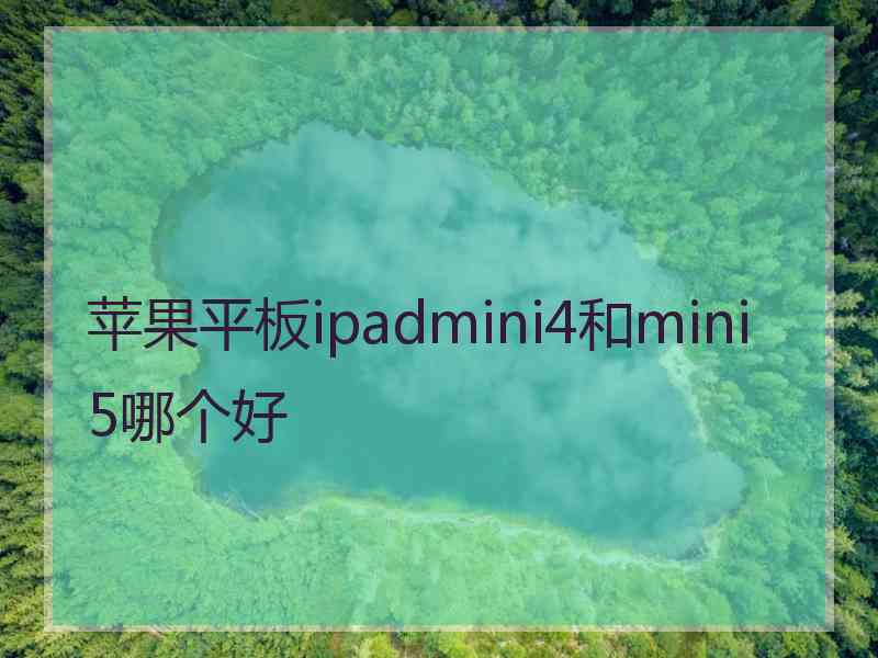 苹果平板ipadmini4和mini5哪个好