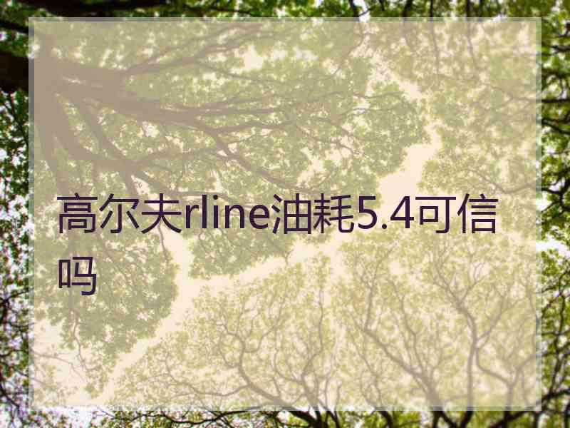 高尔夫rline油耗5.4可信吗