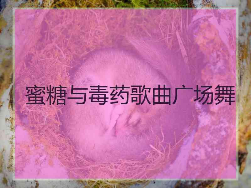 蜜糖与毒药歌曲广场舞