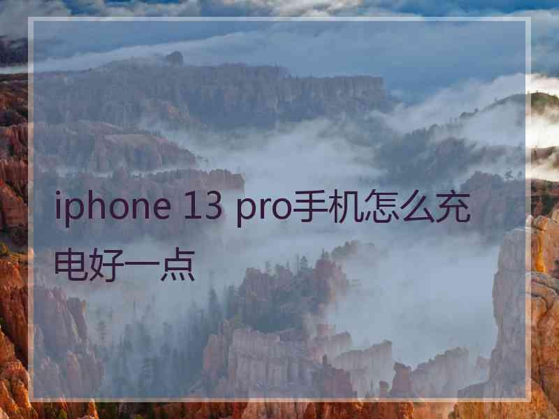 iphone 13 pro手机怎么充电好一点