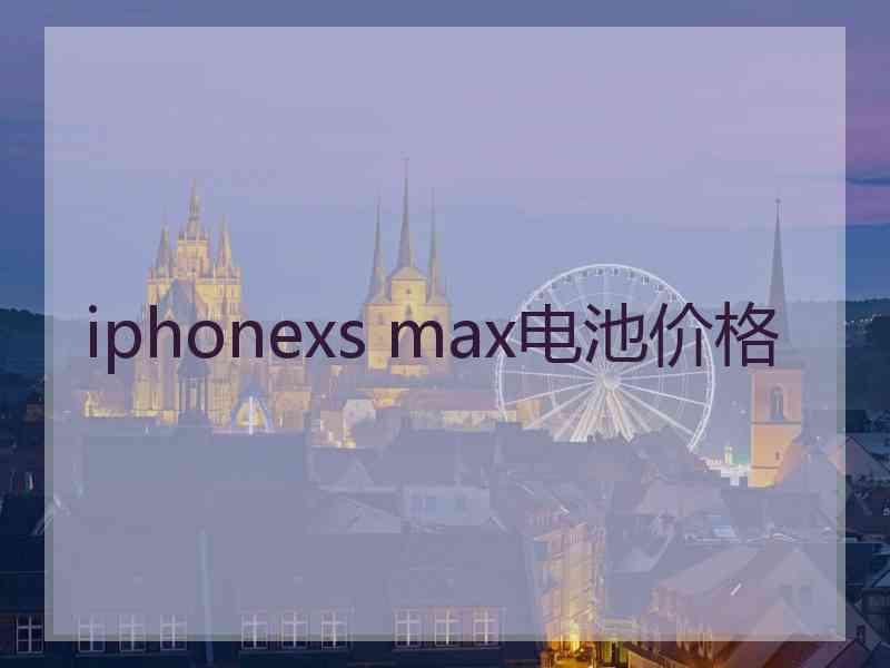 iphonexs max电池价格