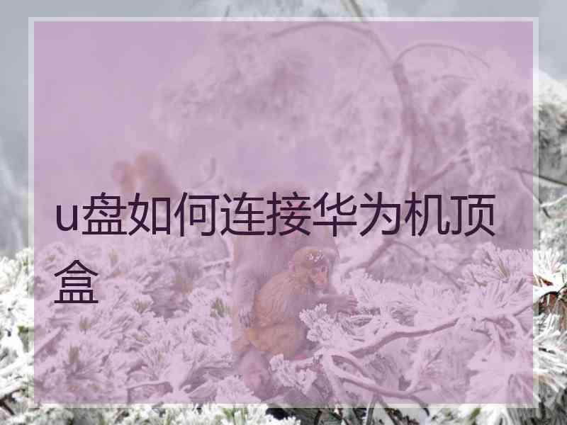 u盘如何连接华为机顶盒