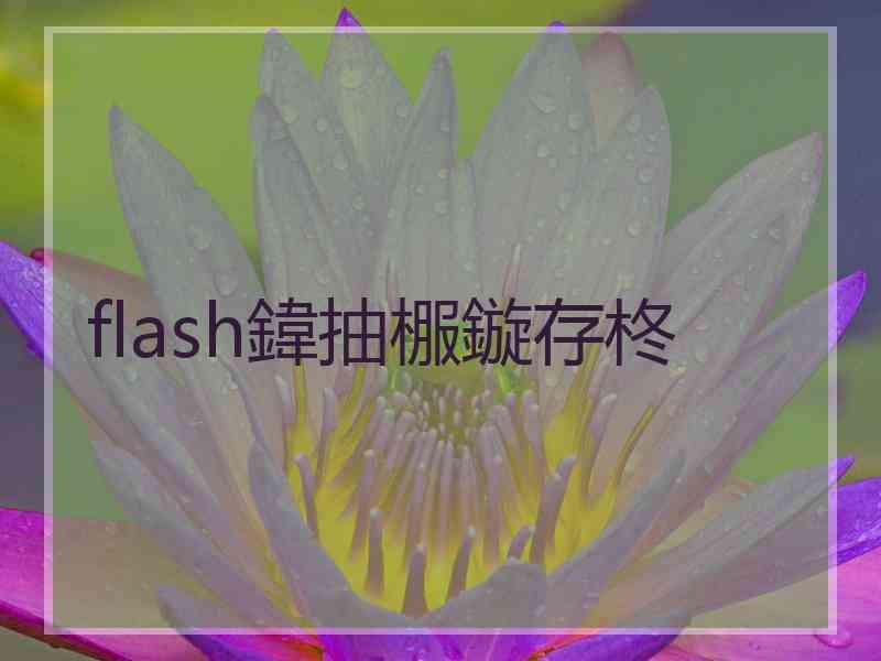 flash鍏抽棴鏇存柊