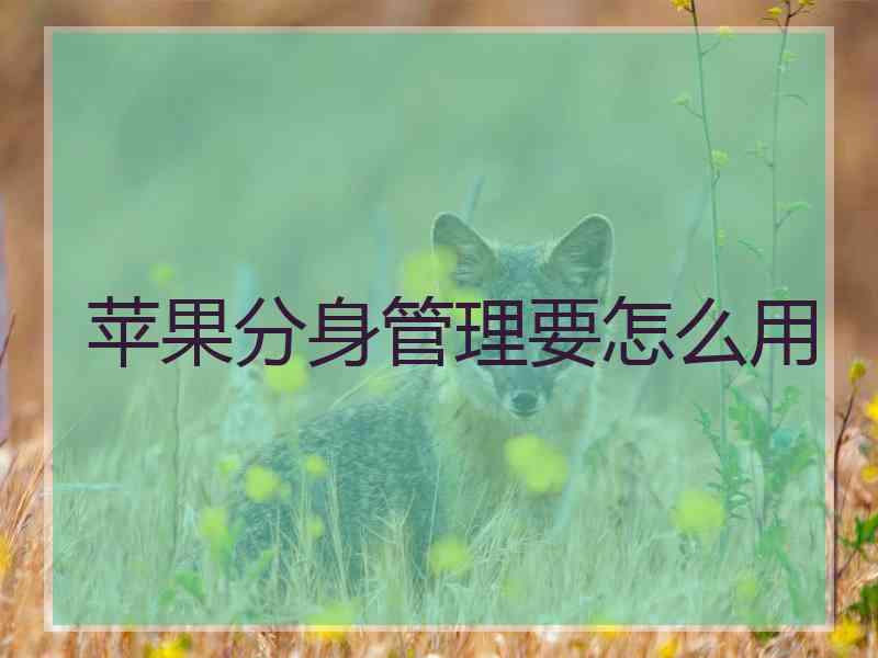 苹果分身管理要怎么用