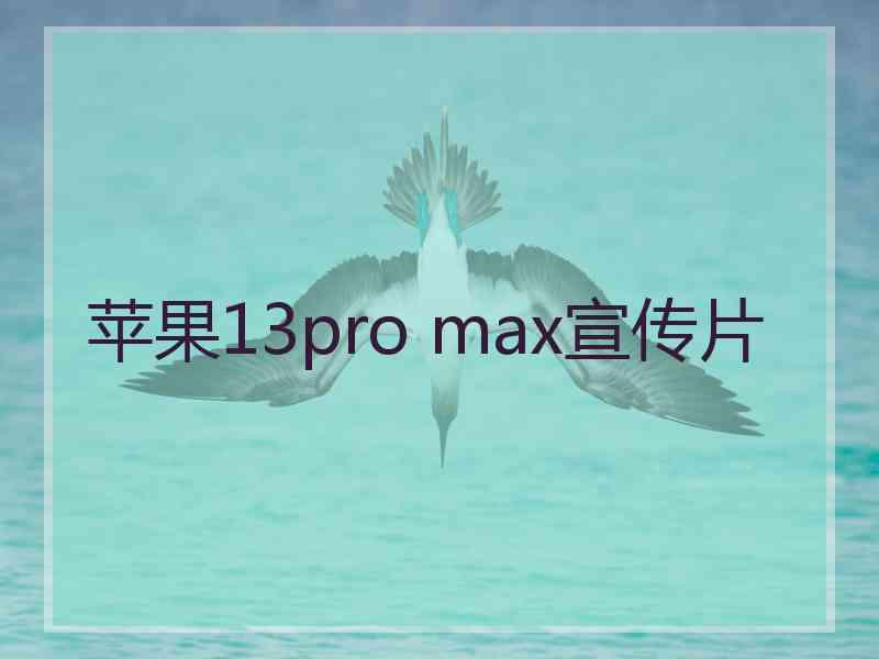 苹果13pro max宣传片