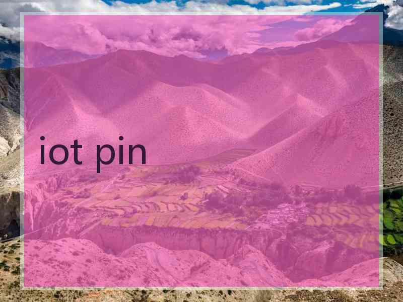 iot pin