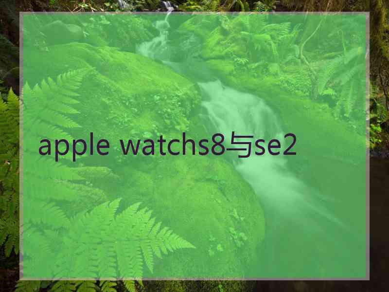 apple watchs8与se2