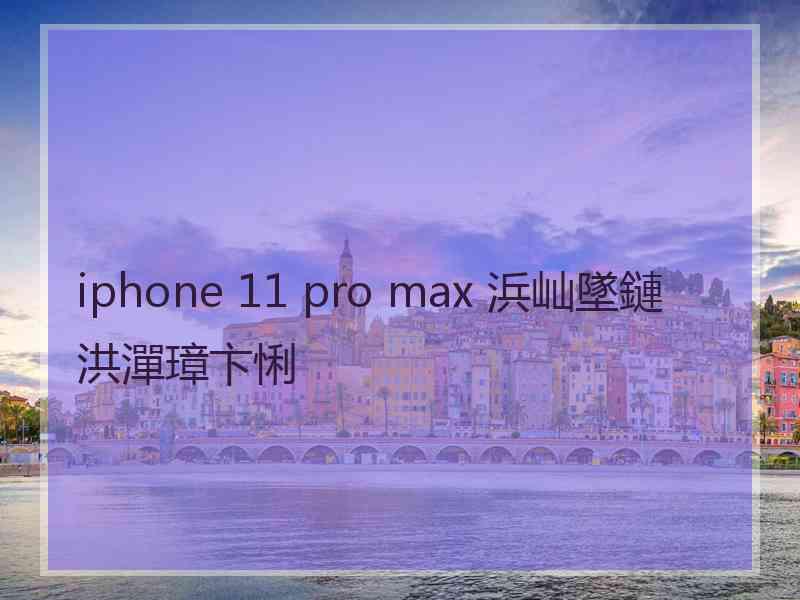 iphone 11 pro max 浜屾墜鏈洪潬璋卞悧