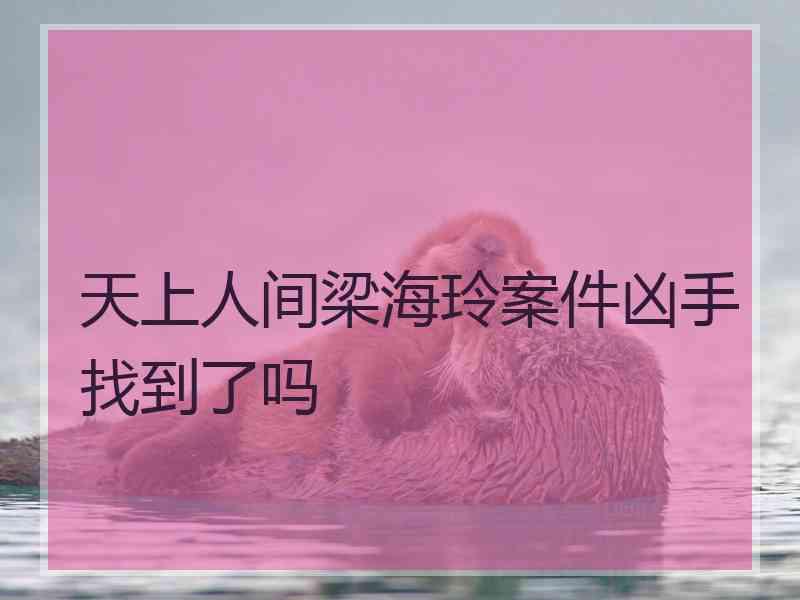 天上人间梁海玲案件凶手找到了吗