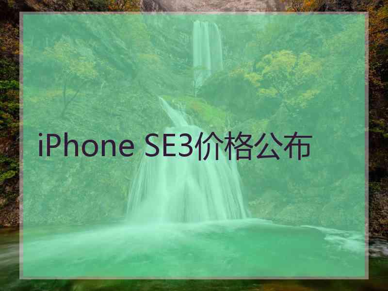 iPhone SE3价格公布