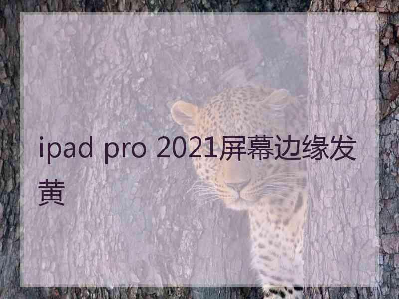 ipad pro 2021屏幕边缘发黄