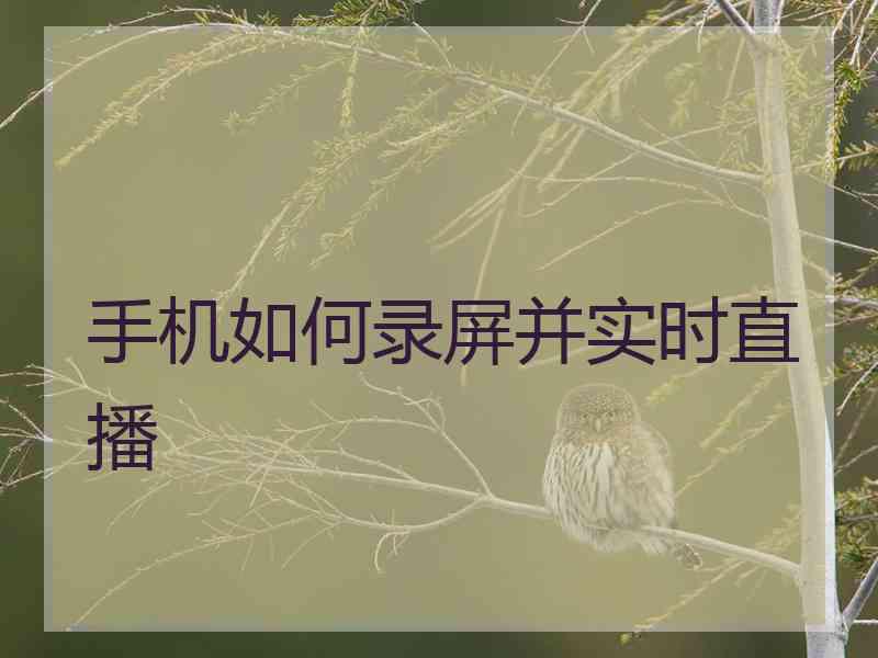 手机如何录屏并实时直播