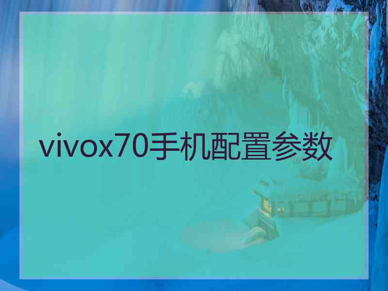 vivox70手机配置参数