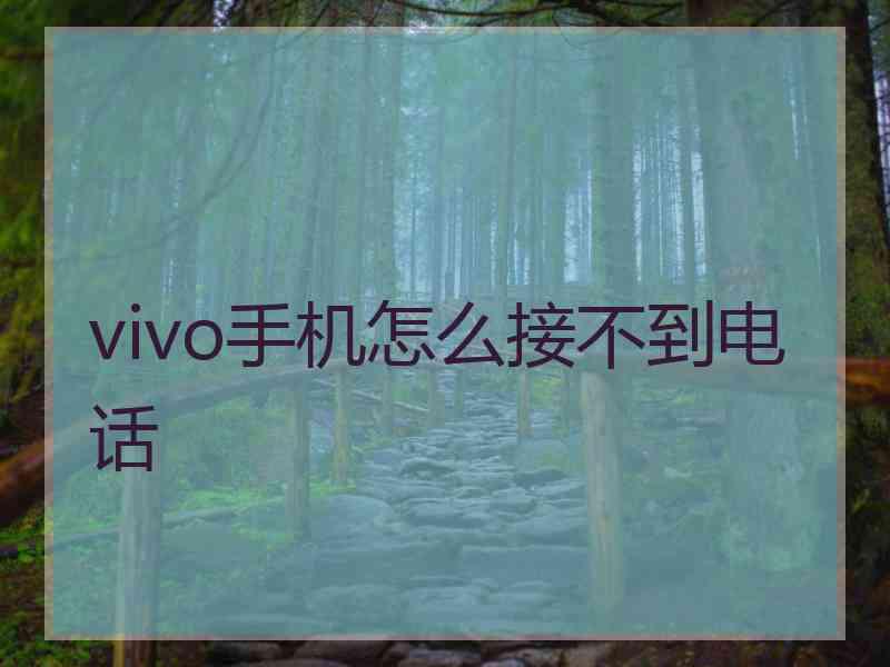 vivo手机怎么接不到电话