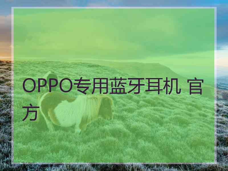 OPPO专用蓝牙耳机 官方