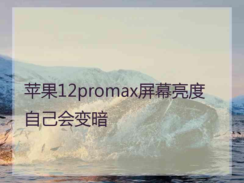 苹果12promax屏幕亮度自己会变暗