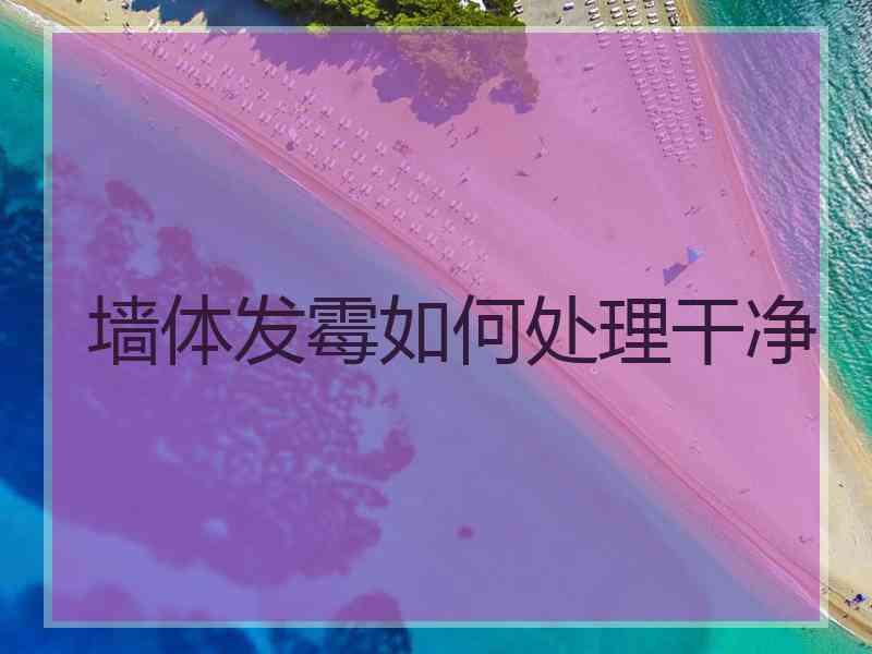 墙体发霉如何处理干净