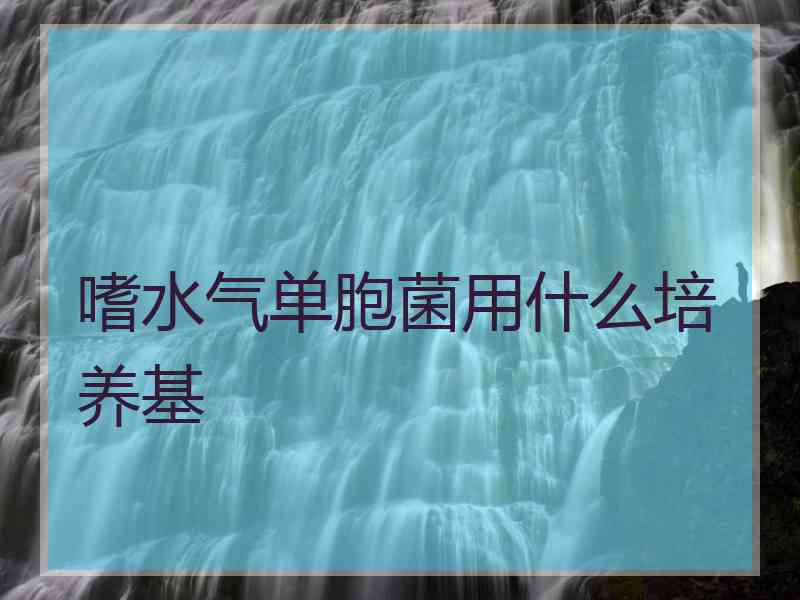 嗜水气单胞菌用什么培养基