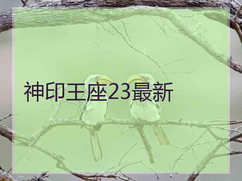 神印王座23最新