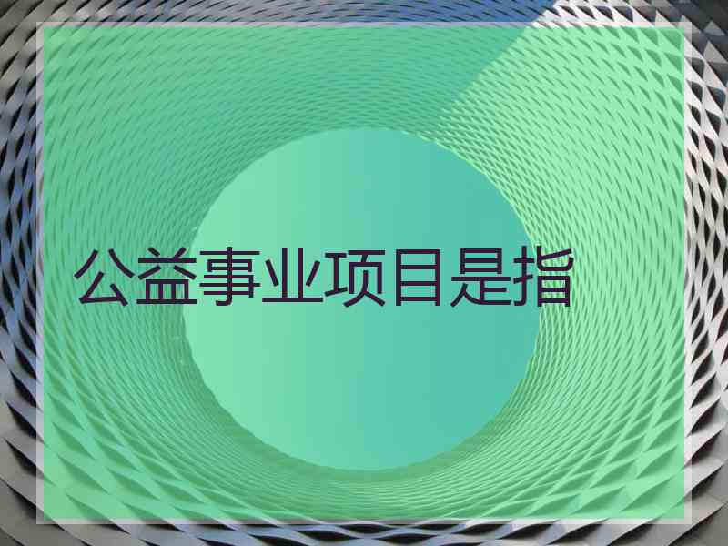 公益事业项目是指