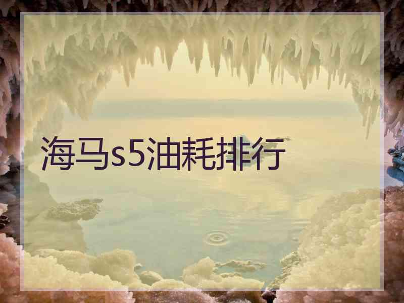 海马s5油耗排行