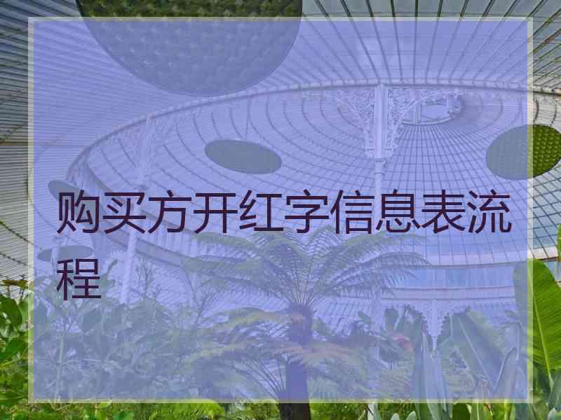 购买方开红字信息表流程