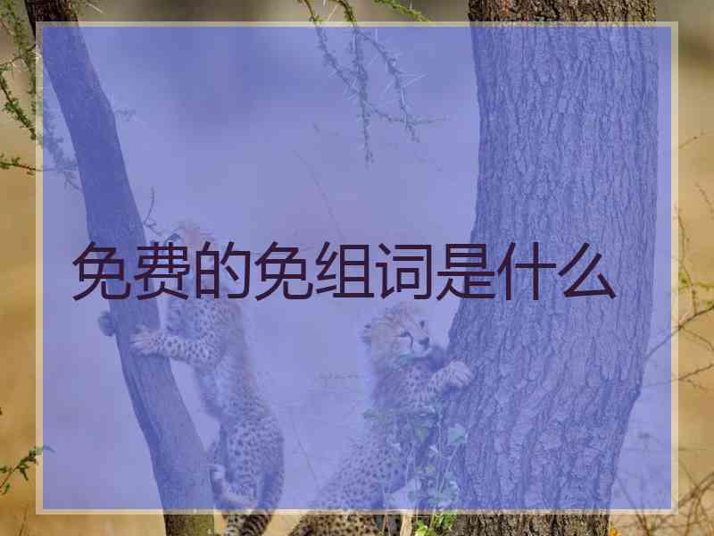 免费的免组词是什么