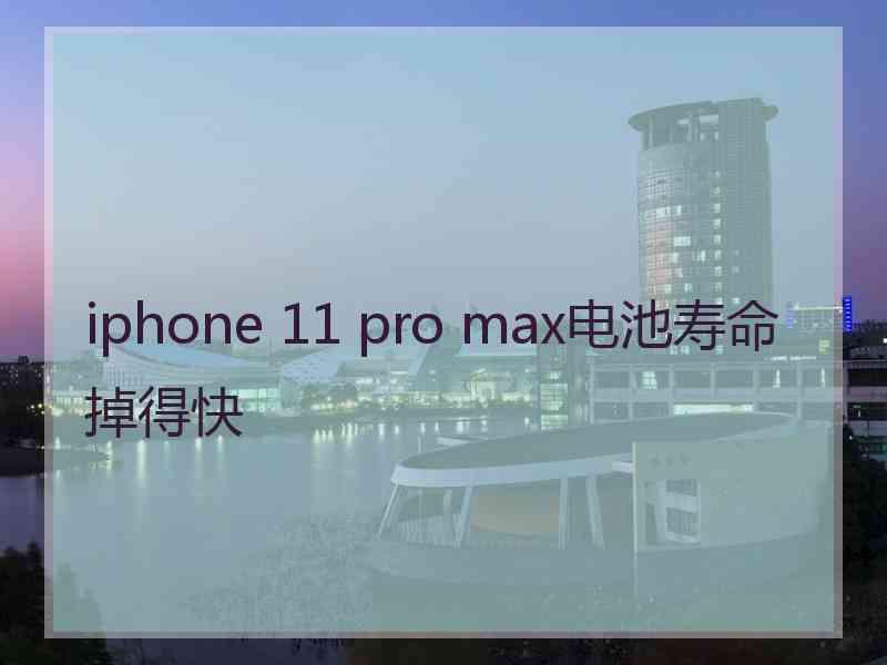 iphone 11 pro max电池寿命掉得快